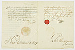 MSMA 1/20.95: Certificat de filiation par le Conseil de Soleure en faveur de Peter Viktor et Johann Viktor Peter Joseph Besenval